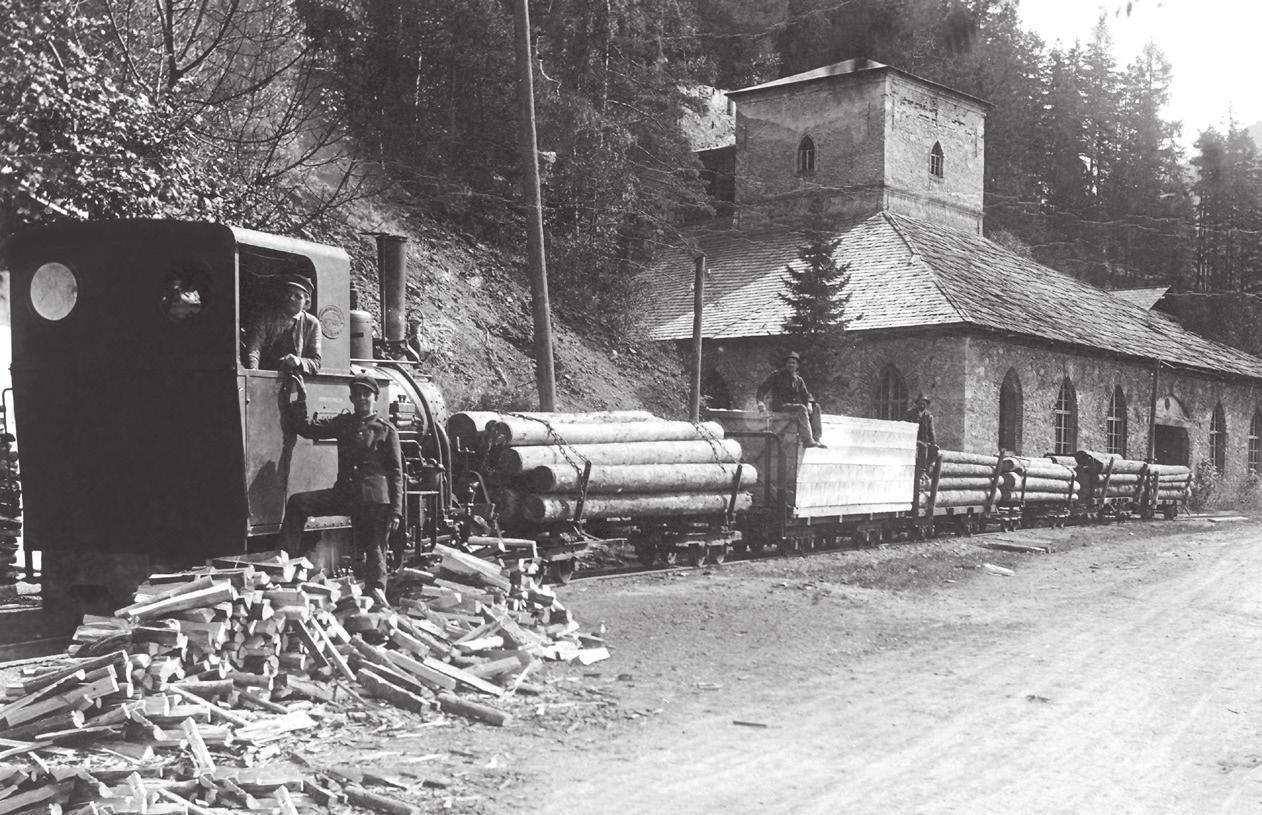 Die Waldbahn des Grafen Karol Lanckoroński-Brzezie