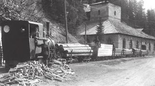 Die Waldbahn des Grafen Karol Lanckoroński-Brzezie